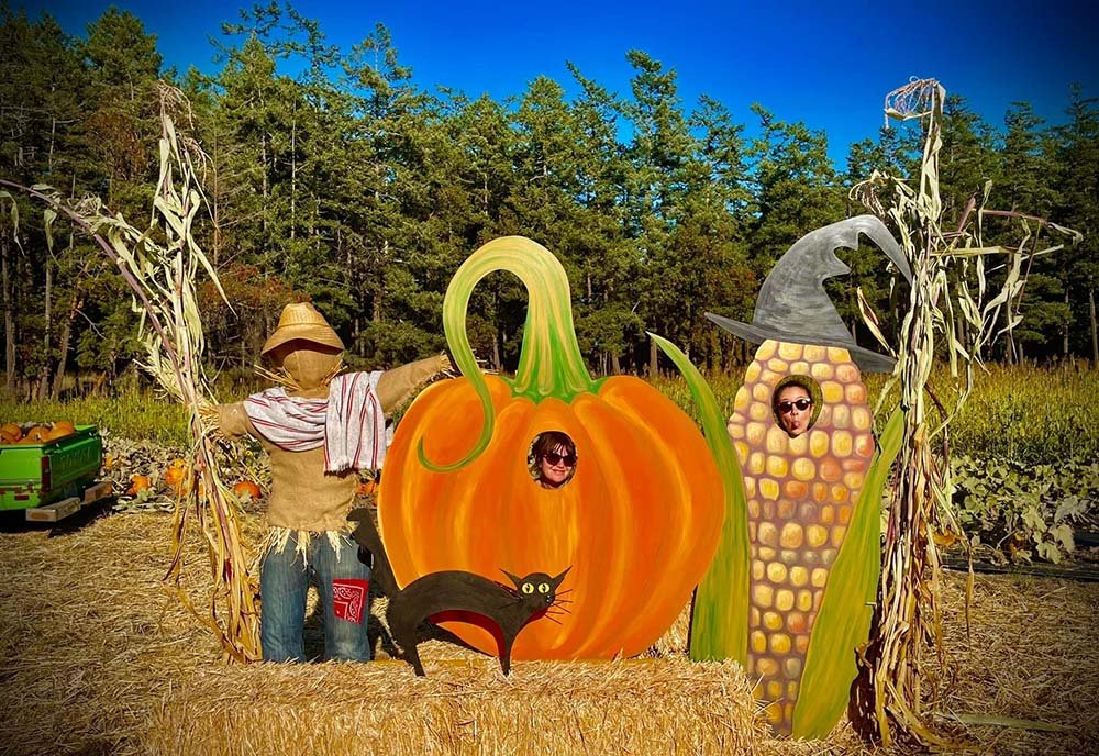 Colorful plywood cutouts of a pumpkin and an ear of corn are standing in a field. The cutouts are used as props for photos with silly poses.